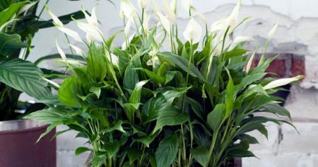 815a453e587d6b0d2e69b9f9ed60695b_14.04.26