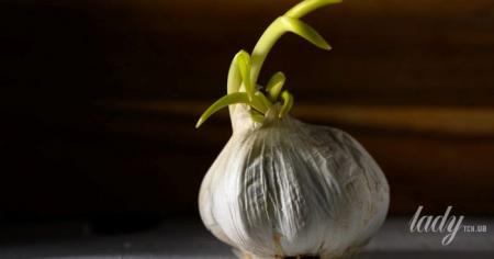 837462ca258d4ad6e7a0efffdfd1f518_29.04.26_1