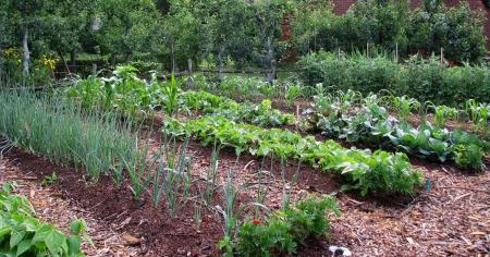 83ab8cda2d6efca21d1d3d087cac4c54_15.04.26