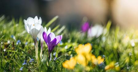 85885a2add83a94930a49bd919f1b3fd_07.03.26