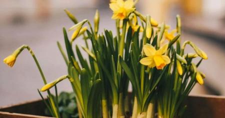 8652442a6f6bdd2e0ae63fb389aeeaf8_24.03.26_1