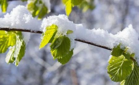 В Украину вернется холод и снег: синоптики уточнили прогноз на неделю