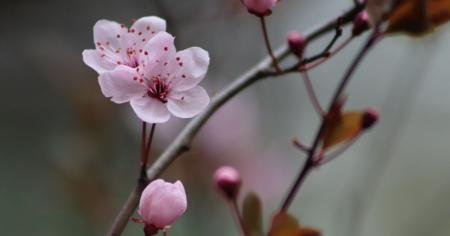 Коли до України прийде довгоочікуване потепління: синоптик відповів