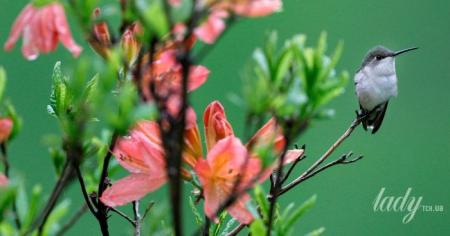 88f63983e895b6c4f9fe98bfb0014363_09.-03.26_1