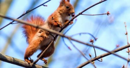 895aafa02992e55fea9bb900784c290e_18.03.26_1