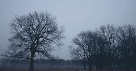 8c08d5c4113e066541a69a15c93bbcfc_23.02.26