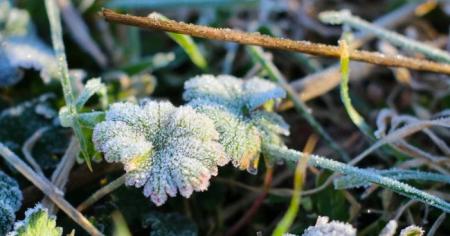 8df89bdad2d84d2735b021eb6c8c9724_09.04.26_1