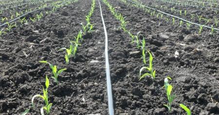 90dfc7ae5b8d5167d882b9ab7a0b9e3a_18.04.26