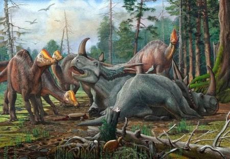 920a172bf51a15acfab501ee711a387b_5