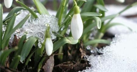 946339411176917e4ff3e79ba2d8f270_28.02.26_1