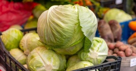 954275c00e009100a0e24af590cd8f56_17.04.26_1