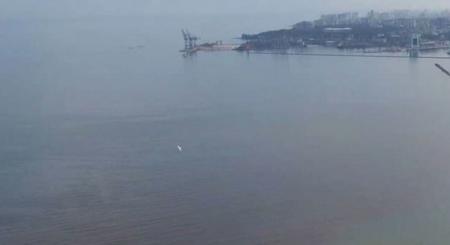На море в Одессе - красные приливы, экологи советуют не купаться