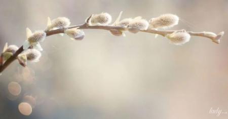 Гороскоп на 14 березня для всіх знаків зодіаку: день, коли не варто змушувати себе працювати через силу