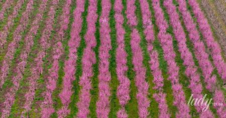 98fa613f2f21fa67042fb0ea598a6562_23.04.26