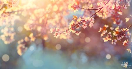 99168407f005eceb77e3211de1efbbf2_01.04.26