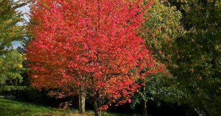 993f5e6794fc255d00adbbfbfc8b4985_14.02.26