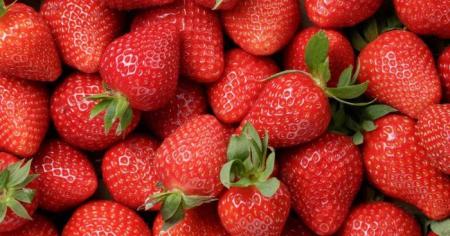 9aee961d4092559ef2753a395fa0d63d_27.04.26_1