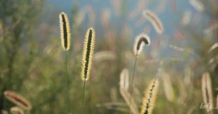 9af02ac09934f080a0d428ca65faecb3_20.03.26_1