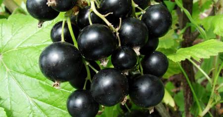 9d13bd34dcec04c78cfb0ea4e54f8804_31.-0-3.26