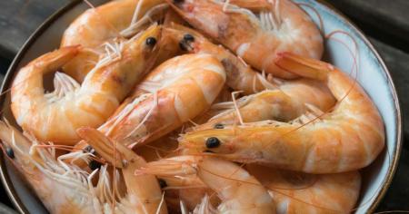 9d3459064425ea026a15f289b5b29964_16.03.26