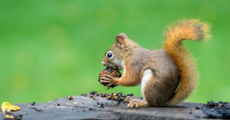 Пік потепління попереду: синоптик назвав дати, коли чекати на максимум тепла