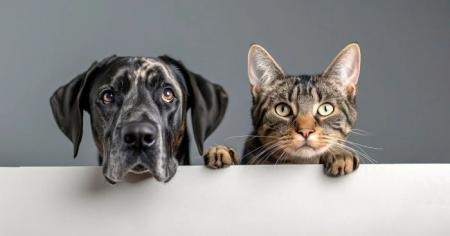 9e757878e9f5bbdef6e599641e183c9a_07.03.26_1