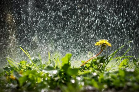 Украину в выходные накроют дожди и похолодание, а лето начнется с 12 мая