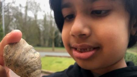 Шестилетний британец нашел в своем саду окаменелость возрастом около 400 млн лет