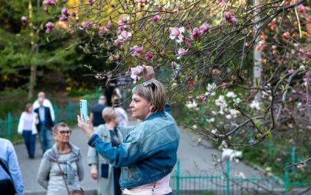 _kiyiv_vesna_2025_magnoliya_botanichniy_sad_fomina_foto_lyubov_kalashn_03.05.26