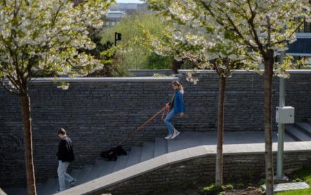 _pogoda_kii__v_foto_vitalii___nosach_rbkchukrai__na_03_9ba9a_25.04.26