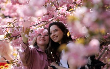 _selfi__kvitucha_sakura__dnipro_vesna_pogoda__mykola_miakshykov_u_12.04.26