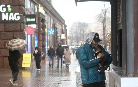 _sobaka_pogoda_osin_telefon_zv_yazok_doshch_kiyiv____gettyimages_2247_13.04.26