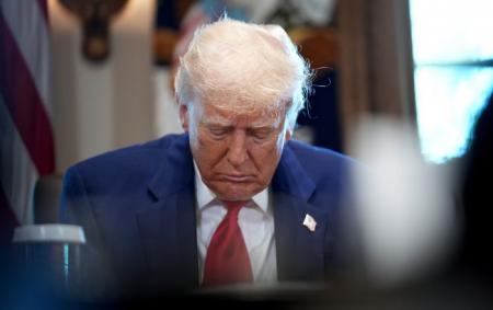 _tramp_gettyimages_2212780862__1__67418576f1c1c9_17.03.26