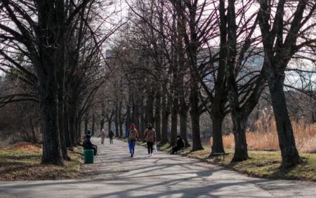 _vesna_doroga_v_parku_lyudi_ydut_kamishi_vodoyma_poperedu_budinki_pei__zazh_vesna_f_1004.26