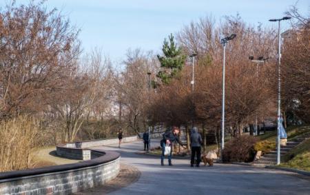 _vesna_trotuar_zmiykoyu_bordyur_sonyachno_goli_dereva_kiyiv_foto_12.03.26