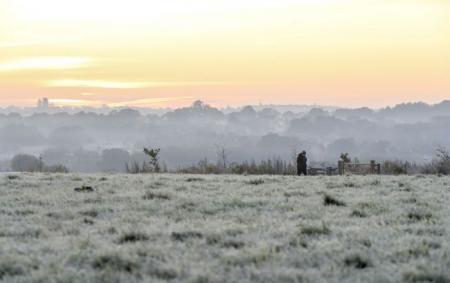 _zamorozki_ranniy_ranok_iniy_trava_lyudina_na_tli_derev_obriy_gettyimages_117_28.04.26