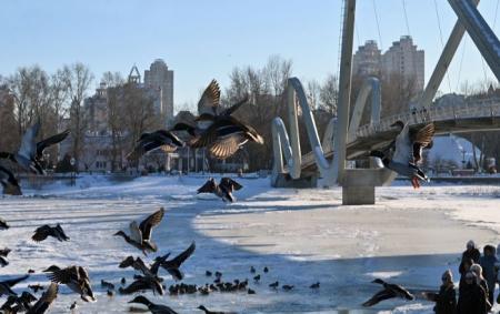 _zima_snig_lid_na_dnipri_ptahi_i_lyudi_bilya_mostu_hvili_kiyiv_sonyachniy_den_gettyimages_2260469982_6141119fc27a3f7a57ebf72f99db2ca4_650x410_12.02.26