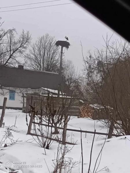 a044d440e7a89967063fedff631dba41_26.02.26_1