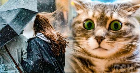 a1081b27c8a2e4b1ca81191663c3fe17_16.03.26