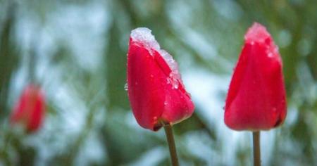 a156b9d97f7dc82aef1cac0aa3093e17_14.04.26_1