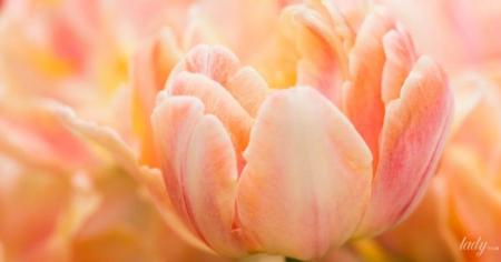 a1b494db188615660d7b120dbbc33ba7_18.04.26_1