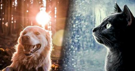 a21d3881d7af36279c3ce7a115be7e57-04.03.26_1