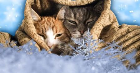 a2367d1b6f643f41d9e08904e9011123_15.02.26_1