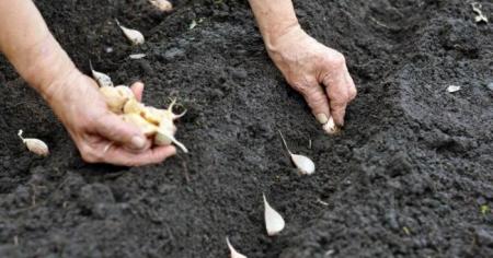 a4bfd7403c84045f8363fb057245f9e1_18.03.26_1