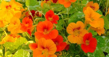 a6dbd9e9e7513b76378286b91a5c5f3b_20.04.26_1