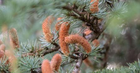 a7919c089fff948745960d4c8c785cee_27.03.26