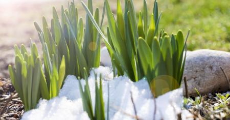 a9e531abfae40c285f0e236240218b5f_01.03.26