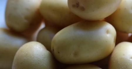 aa3e347024fee1c8f49fda7119336cb4_19.04.26_1