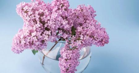 aa8205e7295c8578a21cab24353b91d7_1804.26_1