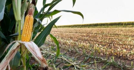 ad28d286477b9fb13c83230961615a40_14.04.26_1